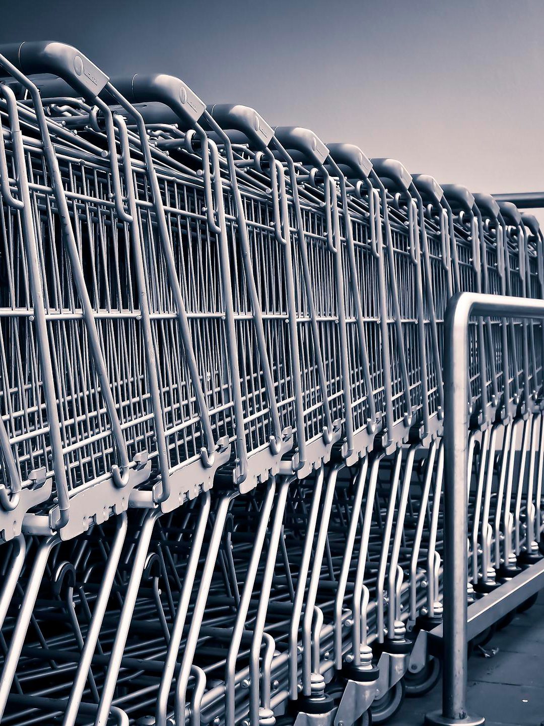 Shopping Cart Pikasol 4-3